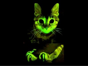 creacin-de-animales-fluorescentes-24-638